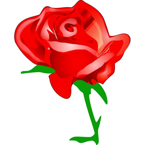 tomas arad red rose Vignette