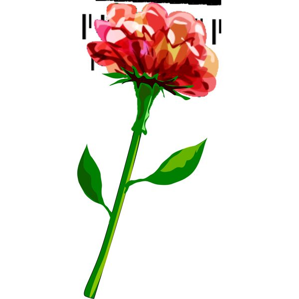 hrum red flower Vignette