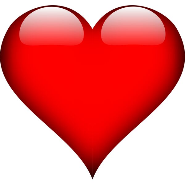 1328539270  2  Vignette