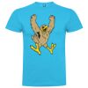 T-shirt Enfant, Awu Adodoé Braco de marque Roly Vignette