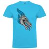 T-shirt Enfant, Awu Adodoé Braco de marque Roly Vignette