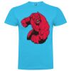 T-shirt Enfant, Awu Adodoé Braco de marque Roly Vignette