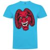 T-shirt Enfant, Awu Adodoé Braco de marque Roly Vignette