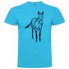 T-shirt Enfant, Awu Adodoé Braco de marque Roly Vignette
