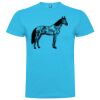 T-shirt Enfant, Awu Adodoé Braco de marque Roly Vignette