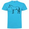 T-shirt Enfant, Awu Adodoé Braco de marque Roly Vignette