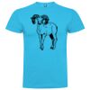 T-shirt Enfant, Awu Adodoé Braco de marque Roly Vignette