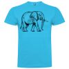 T-shirt Enfant, Awu Adodoé Braco de marque Roly Vignette