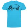T-shirt Enfant, Awu Adodoé Braco de marque Roly Vignette