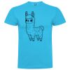 T-shirt Enfant, Awu Adodoé Braco de marque Roly Vignette